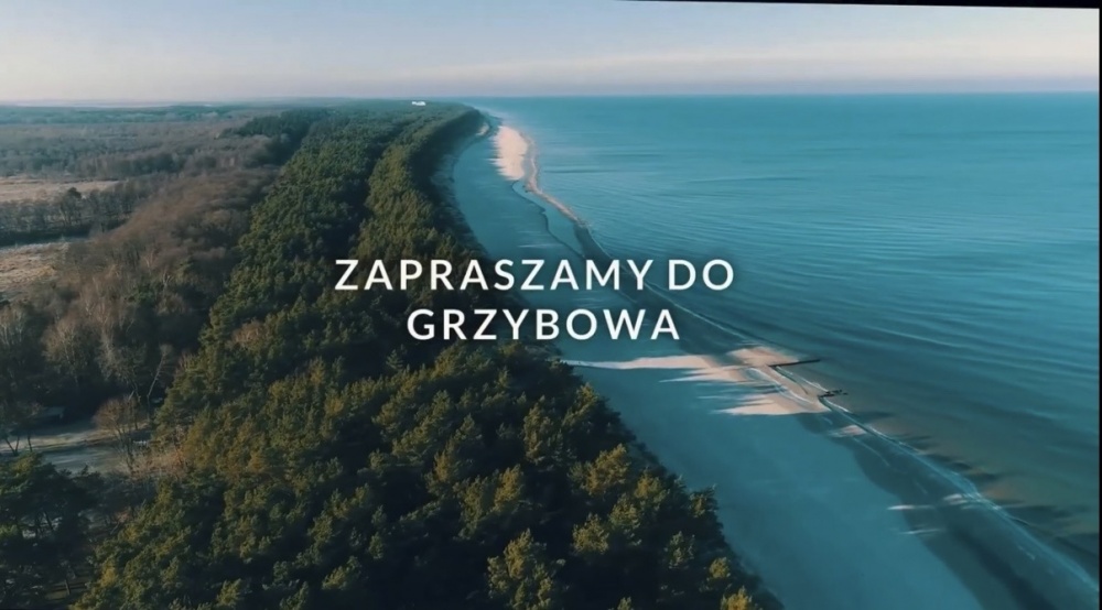 Dzialka w Grzybowie  - 0