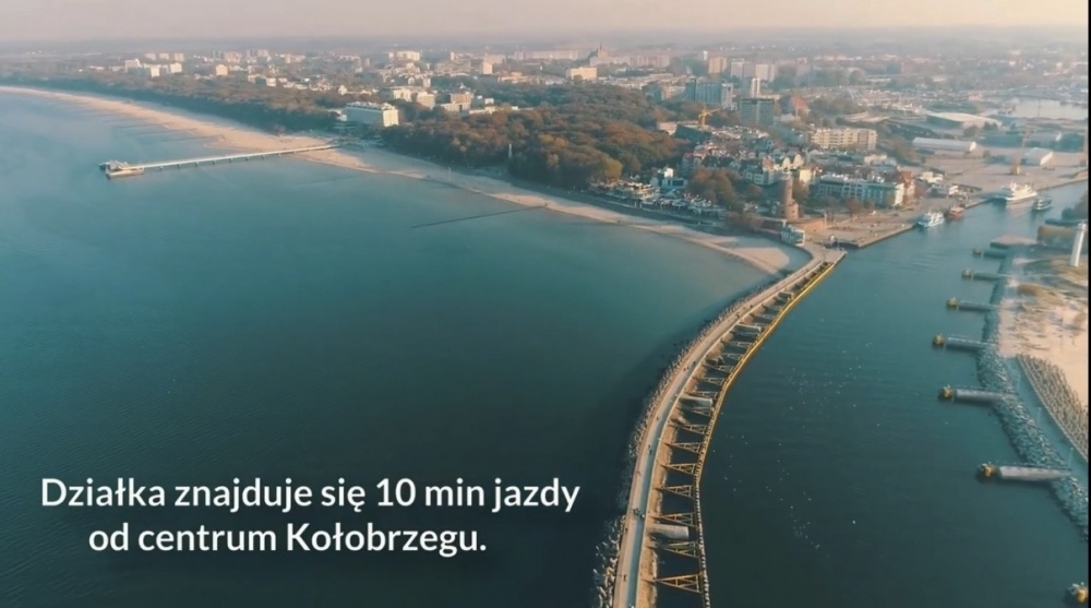 Dzialka w Grzybowie  - 1
