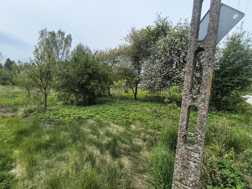 4 Pokojowy dom z działką - 17