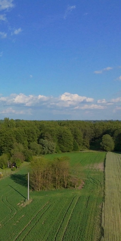 NA SPRZEDAŻ DZIAŁKA 59AR JÓZEFOWO POW SŁUPECKI - 3
