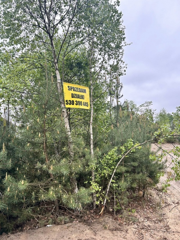 Duża działka w cichej okolicy, dostęp do drogi, wydane WZ na dom jednorodzinny - 0