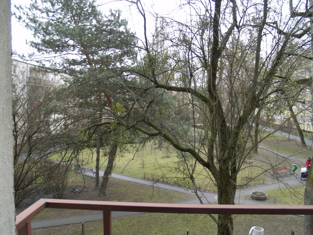Urocze studio na Woli, z wydzieloną sypialnią, bardzo słoneczne i ciche. - 13