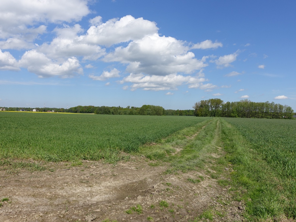 Skoczów Pruchna 1,15ha pod stadnine zabudowe lux lokalizacja - 3