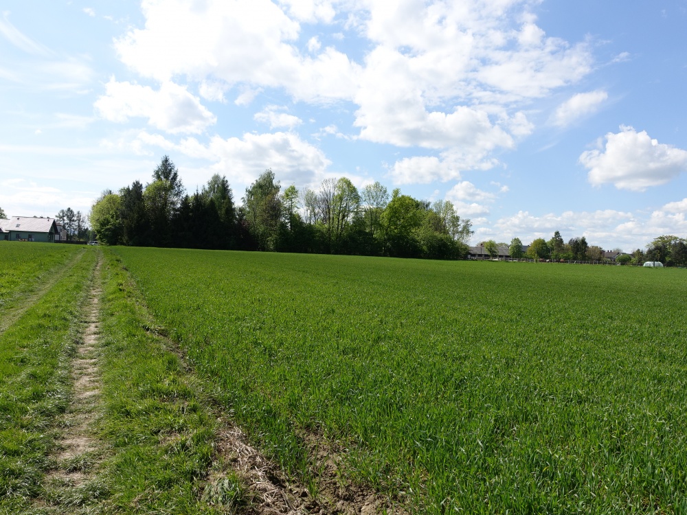 Skoczów Pruchna 1,15ha pod stadnine zabudowe lux lokalizacja - 5