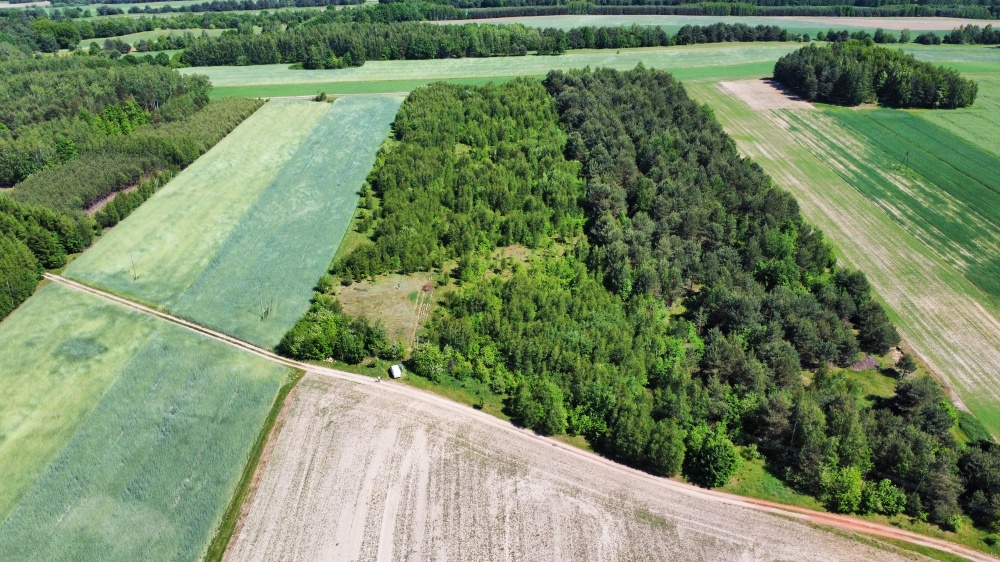 Duża szeroka działka 6.67ha wz na 4 domy media , cisza las - 7