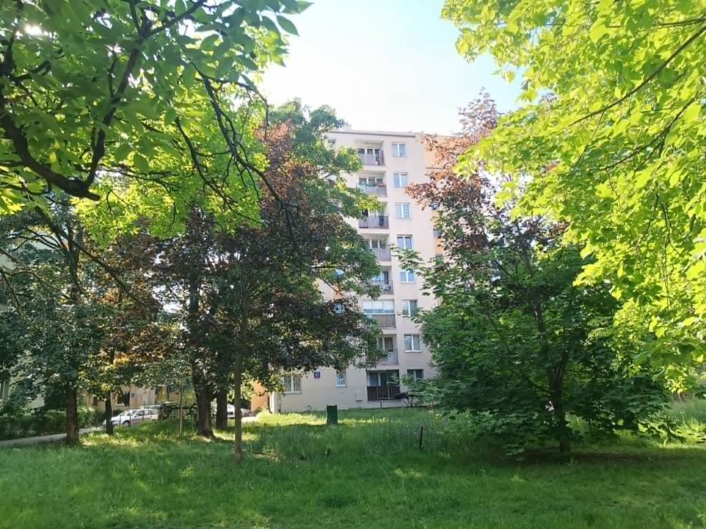 Płocka centrum 3 pokoje (Nowe - dwustronne) ,stan deweloperski - 18