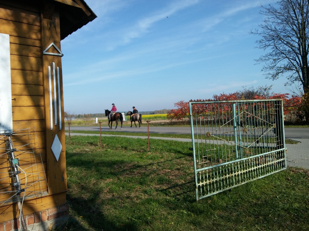 Sprzedam działkę budowlano-rolną - 6