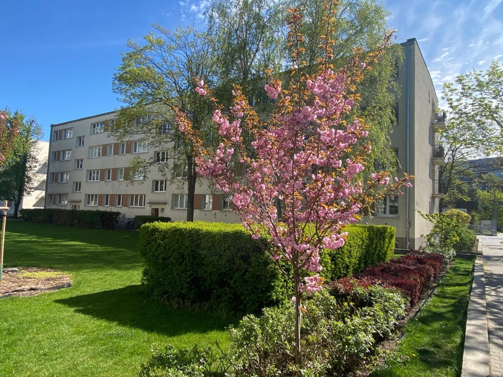Mieszkanie po remoncie w super lokalizacji - 0