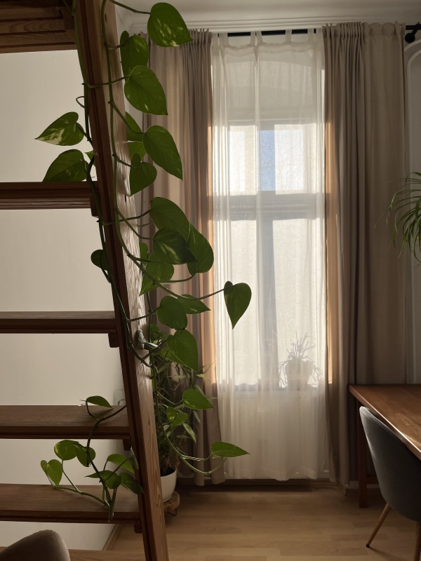 Klimatyczne mieszkanie w kamienicy po remoncie z antresolą i balkonem  - 8