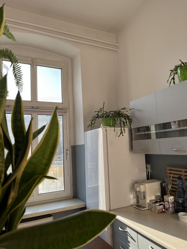 Klimatyczne mieszkanie w kamienicy po remoncie z antresolą i balkonem  - 14