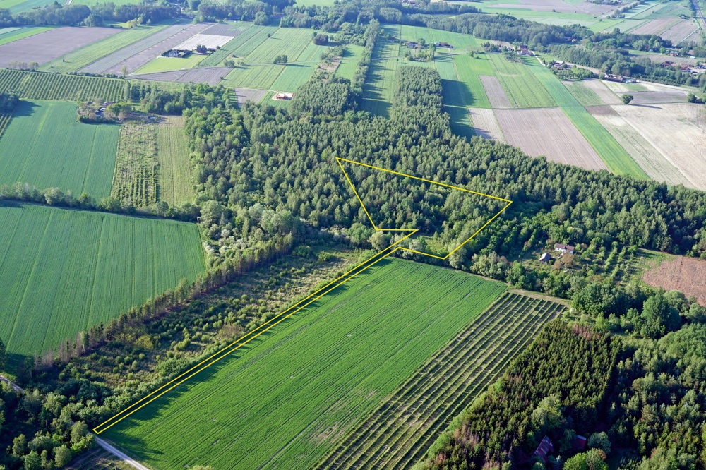 Działka 2.46 ha k. Mszczonowa z warunkami na bud. mieszkalny - 0