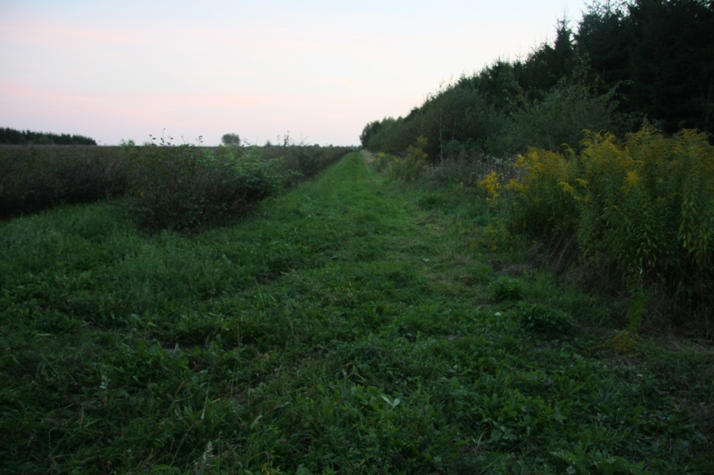 Działka 2.46 ha k. Mszczonowa z warunkami na bud. mieszkalny - 2