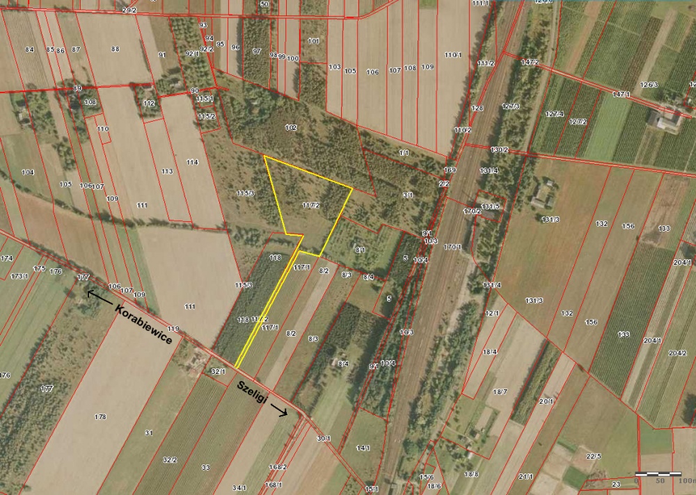 Działka 2.46 ha k. Mszczonowa z warunkami na bud. mieszkalny - 5