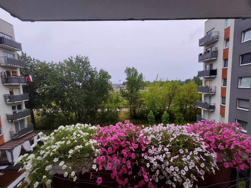 Przestronne, jasne 3-pokojowe mieszkanie na warszawskiej Woli (z klimatyzacją) - 3
