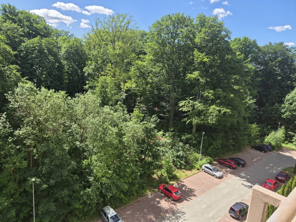 Mieszkanie PREMIUM Winda Park Staszica z Salonu Widok na Las - 11