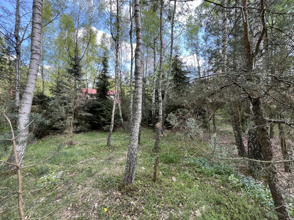 Działka z domkiem letniskowym w klimatycznym lesie - 45 min od Warszawy - 10
