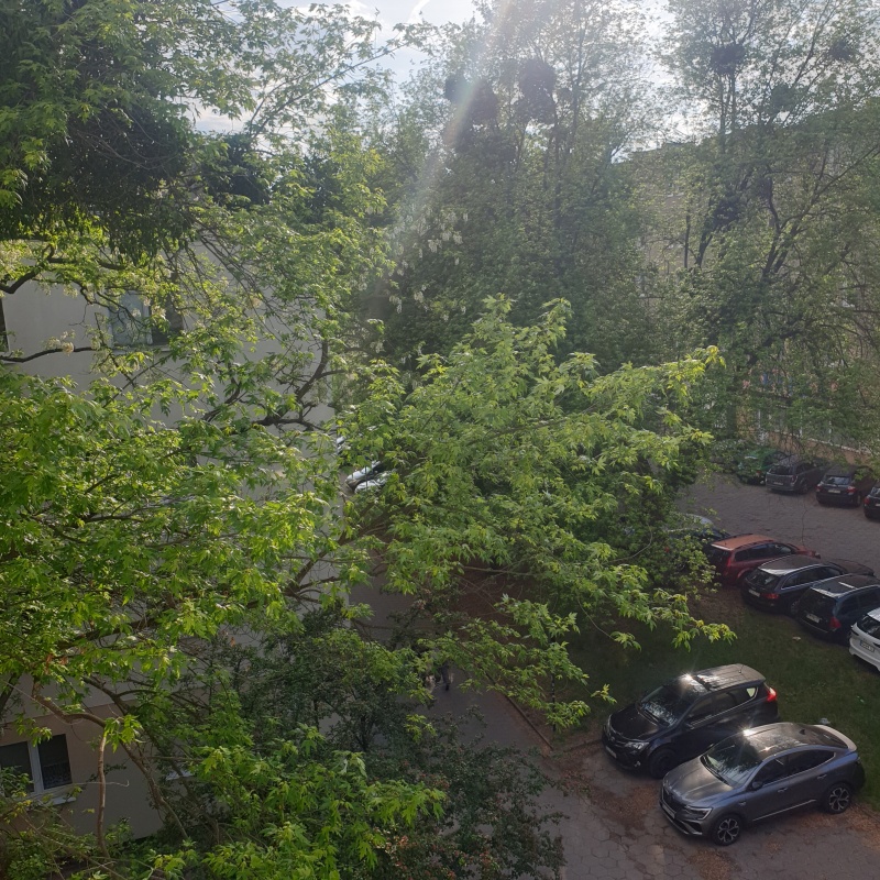 Wynajmę  kawelerkę w bloku,w centrum obok parku staromiejskiego - 8