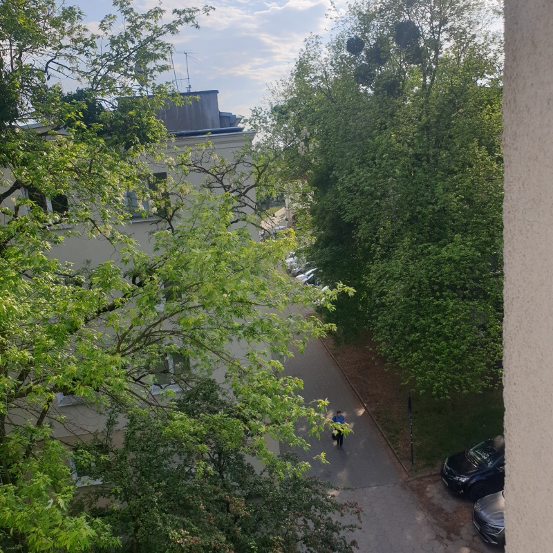 Wynajmę  kawelerkę w bloku,w centrum obok parku staromiejskiego - 9