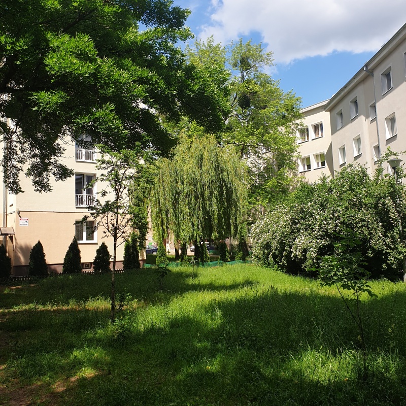 Wynajmę  kawelerkę w bloku,w centrum obok parku staromiejskiego - 22