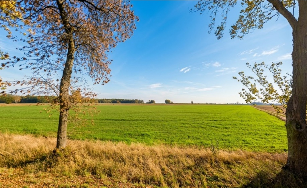 Kwadratowa działka ponad 3000 m² z WZ, przestrzeń, cisza i inwestycja - 0