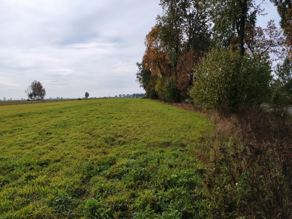 Kwadratowa działka ponad 3000 m² z WZ, przestrzeń, cisza i inwestycja - 3