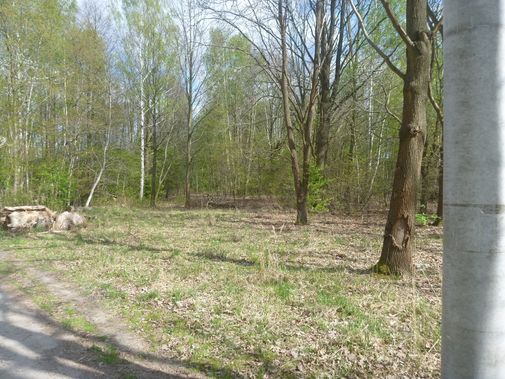Nowa Wieś  10153 m2  (miedzy Pruszkowem i Komorowem)  - 2