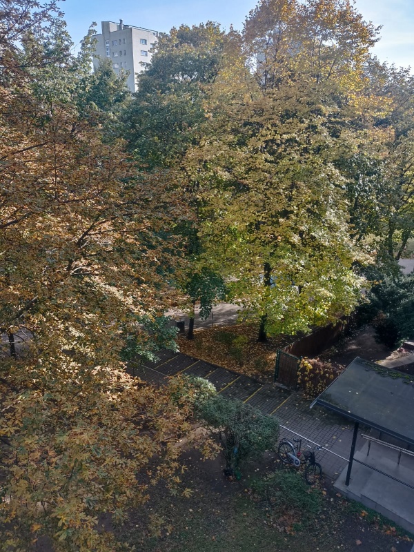 Bezpośrednio Sady Żoliborskie Metro Marymont 2 Pokoje 3 Piętro Balkon - 10