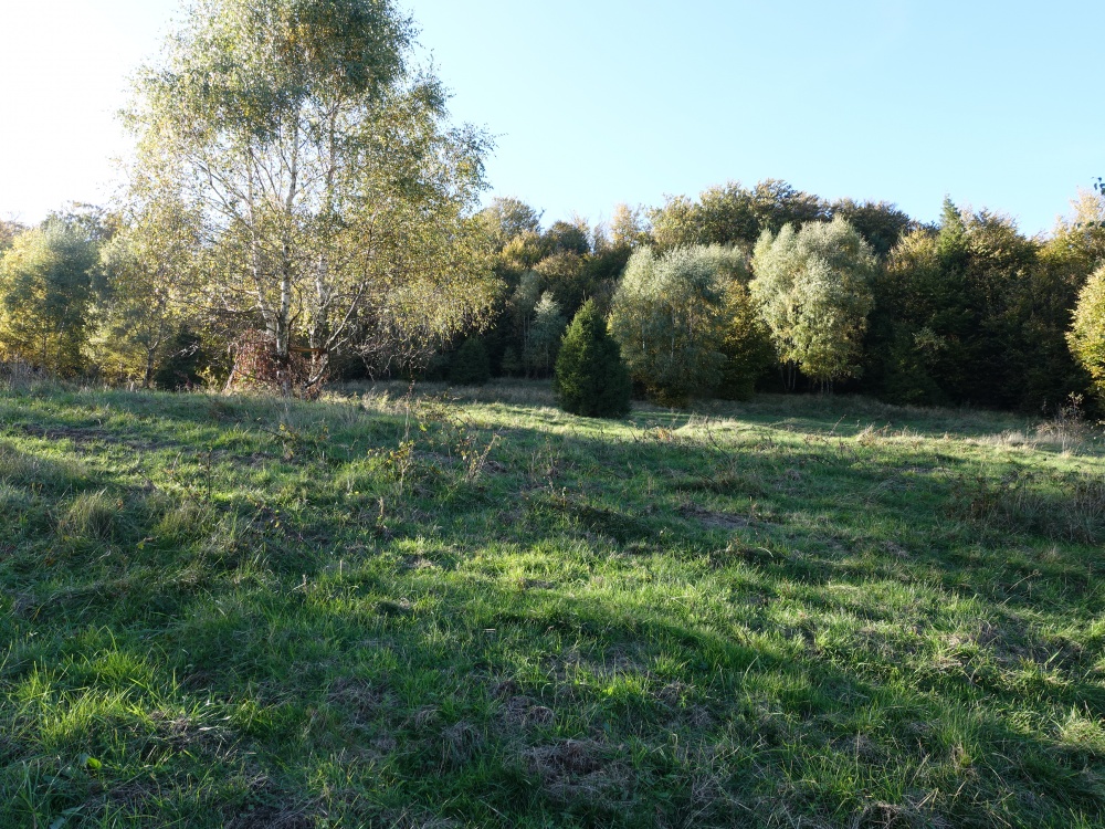 Brenna 2,53 ha działka pod pensjonaty domki letniskowe - 5