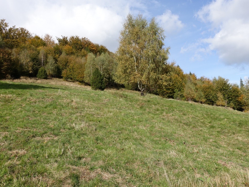 Brenna 2,53 ha działka pod pensjonaty domki letniskowe - 12