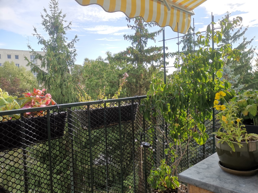2pok+balkon w Parku Kozłowskiego – Metro Ursynów 250m - 7
