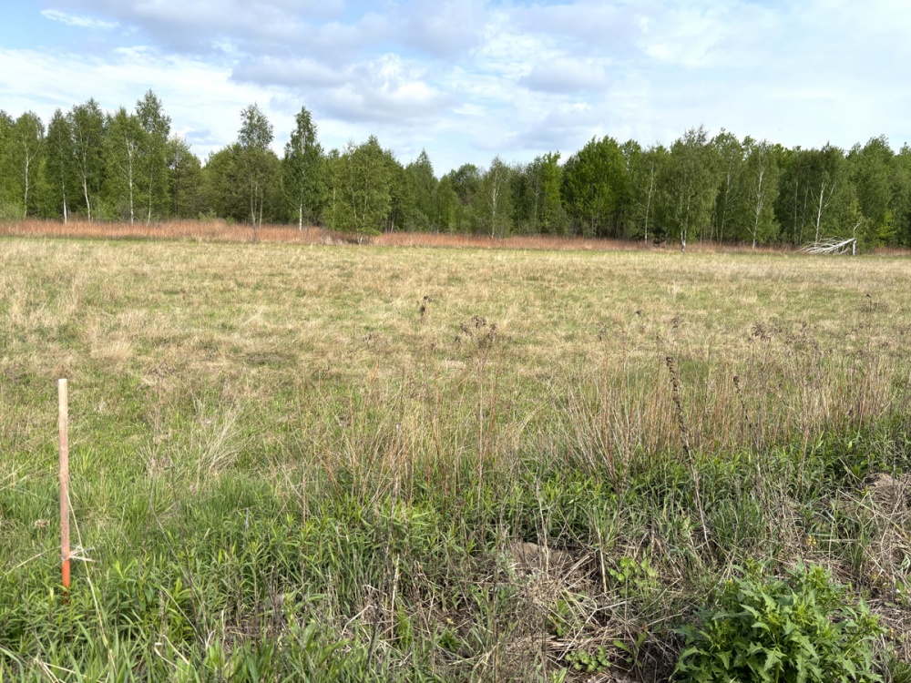 Działka z warunkami zabudowy – Pustelnik, 37 km od Warszawy - 0
