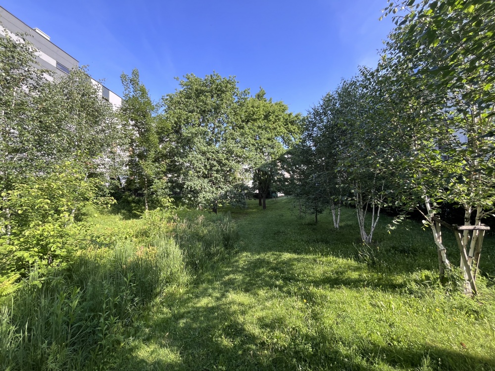 3 pok.|cisza|widok na starodrzew |duży balkon|3 miejsca +komórka - 15