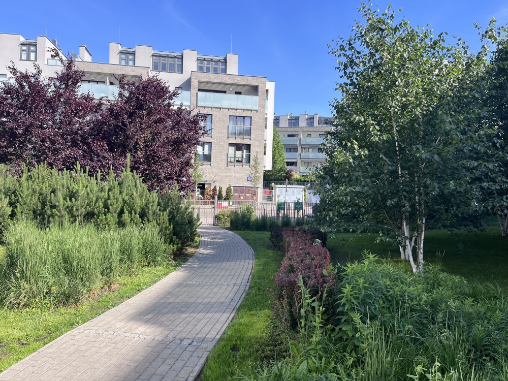 3 pok.|cisza|widok na starodrzew |duży balkon|3 miejsca +komórka - 17
