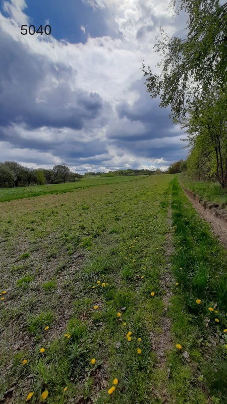 Grunty z potencjałem inwestycyjnym / Rzeszów, os. Przybyszów - 2
