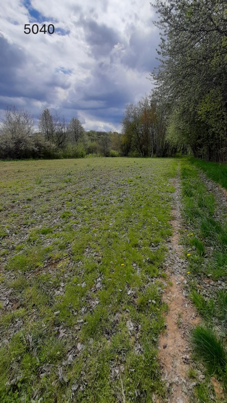 Grunty z potencjałem inwestycyjnym / Rzeszów, os. Przybyszów - 3