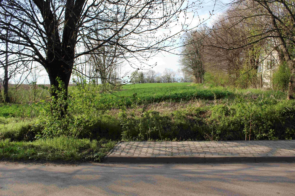 Okazja! Przestronny dom 240m² na pięknej działce 40 arów | Nowe okna! - 3