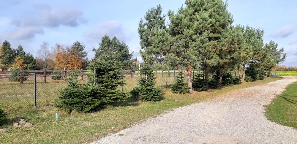 1679m.kw.- 87zł/m.kw. - 3