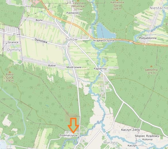 Działka w lesie - 6