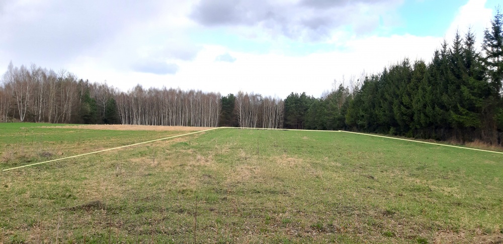 2 działki, przy lesie, blisko Hańczy. - 0