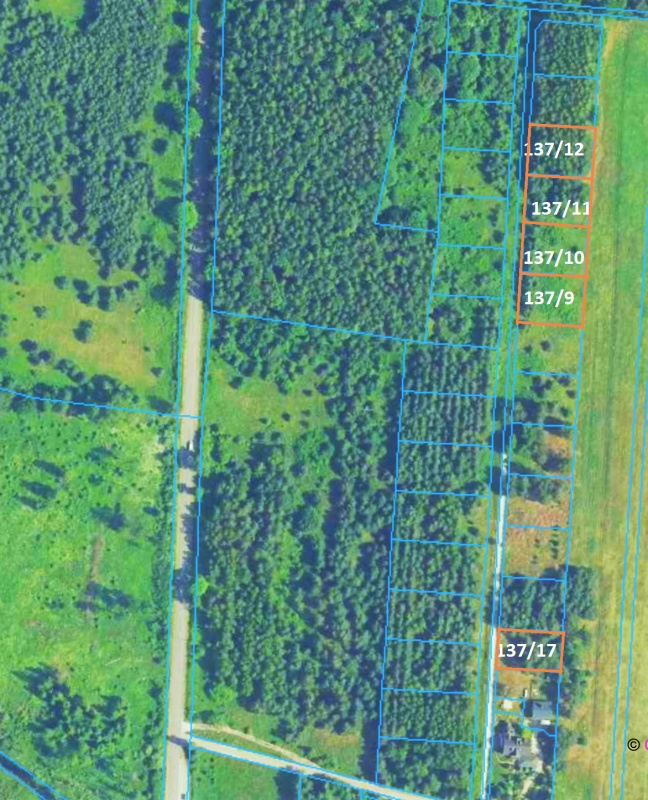 25 km od Kielc, uzbrojona, w otoczeniu lasów - 0