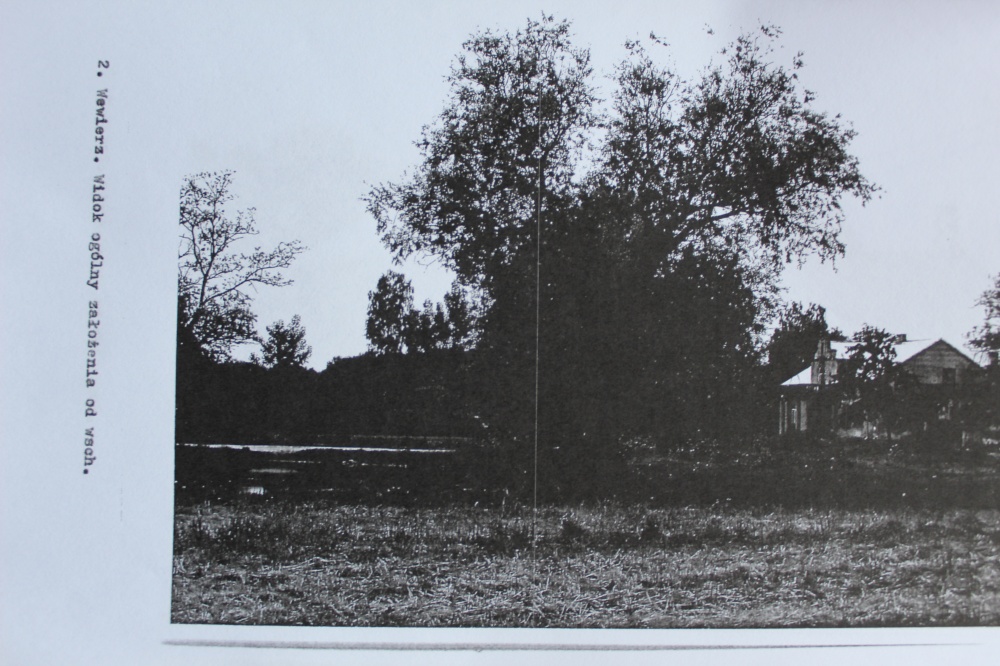 Klimatyczny Dworek z potencjałem inwestycyjnym – Działka 8000m², Dach z blachy - 3