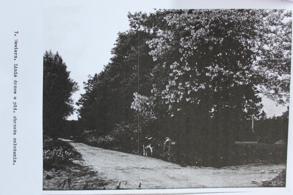 Dwór Józefa Świderskiego (1926 r.) – Działka 8000m² | Usługi i Mieszkalnictwo - 11