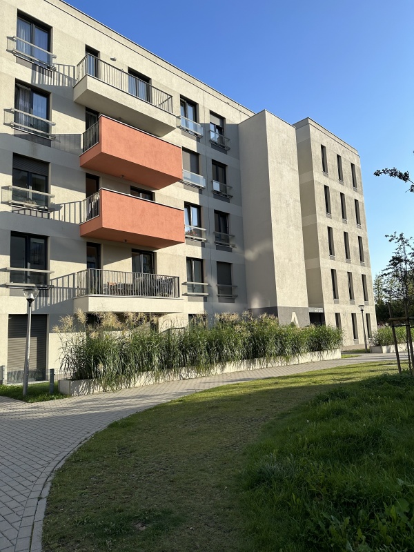 2 pokoje/Grunwald/widok na Park/wykończone - 5