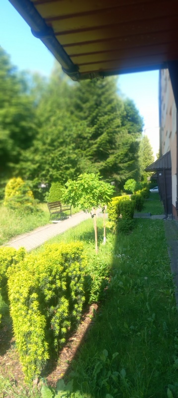 Wynajmę mieszkanie tarnów - 8