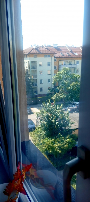 Wynajmę mieszkanie tarnów - 9