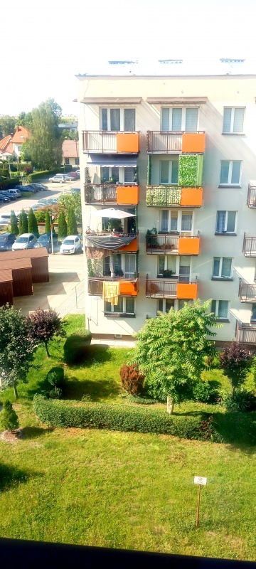 Wynajmę mieszkanie tarnów - 10