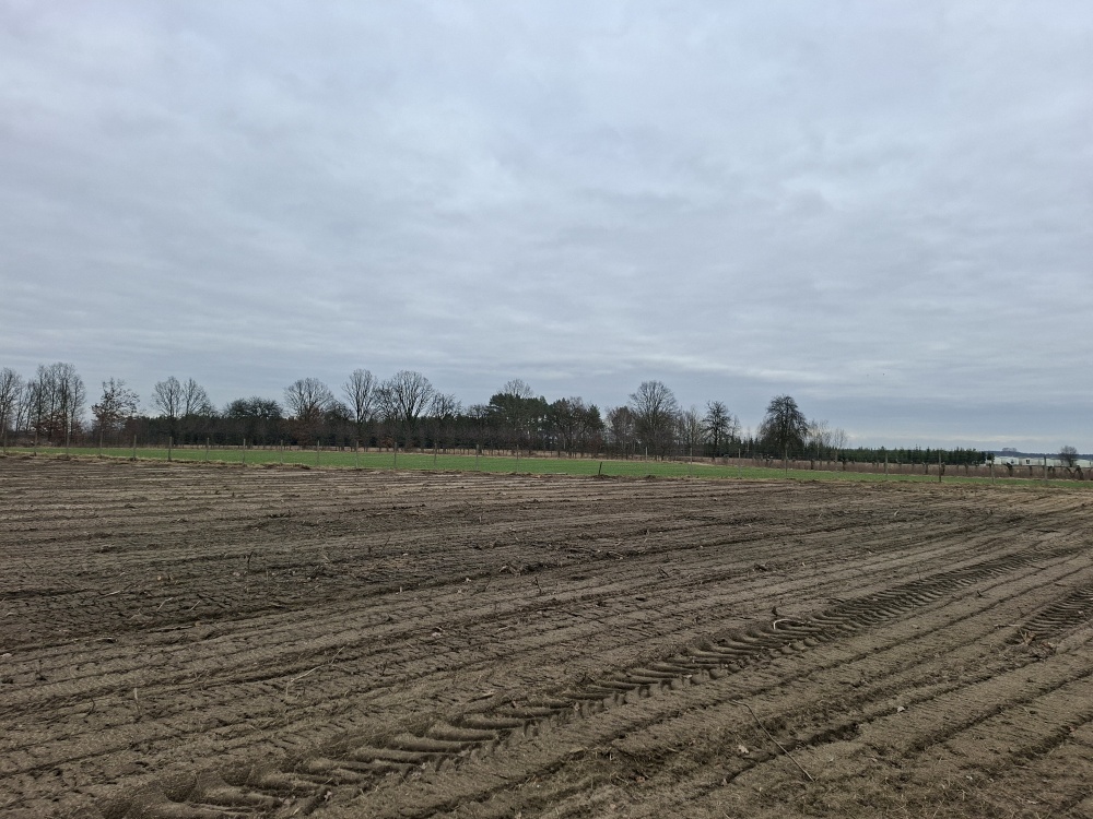 Syndyk sprzeda udział 3/8 w prawie własności nieruchomości gruntowej - Nuna, dz. ew. 300 - 2