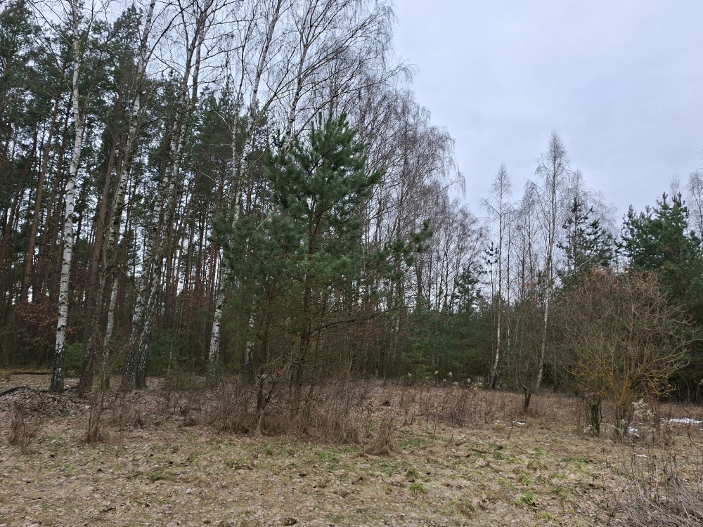 Syndyk sprzeda udział 3/8 w prawie własności nieruchomości gruntowej - Nuna, dz. ew. 278 - 0
