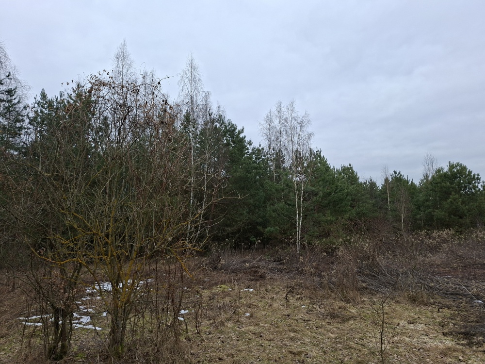 Syndyk sprzeda udział 3/8 w prawie własności nieruchomości gruntowej - Nuna, dz. ew. 278 - 1