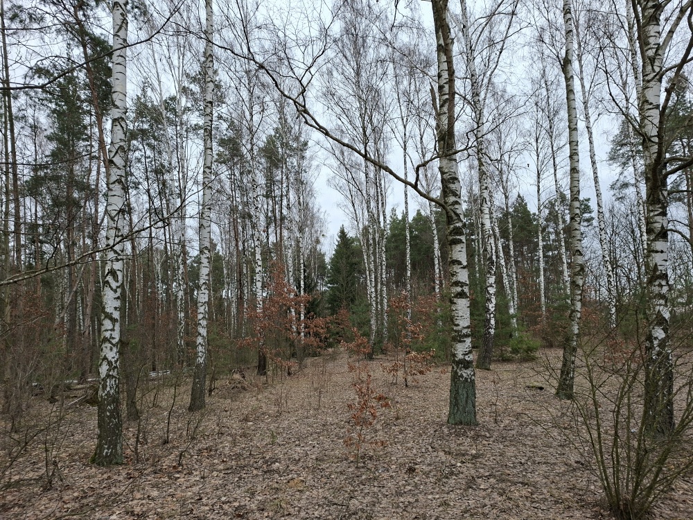 Syndyk sprzeda udział 3/8 w prawie własności nieruchomości gruntowej - Nuna, dz. ew. 278 - 2